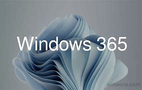 Windows 365